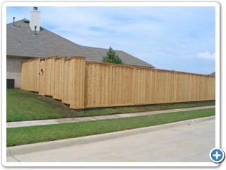 Cedar fence 3