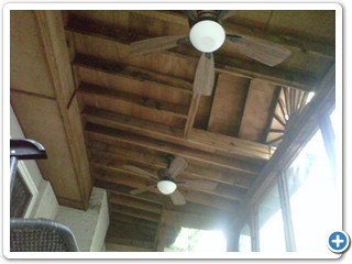 IMG00399-20110923-1146